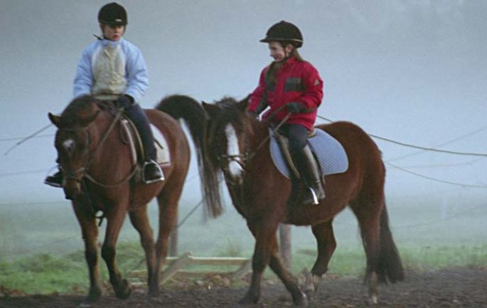 abendliches Reiten