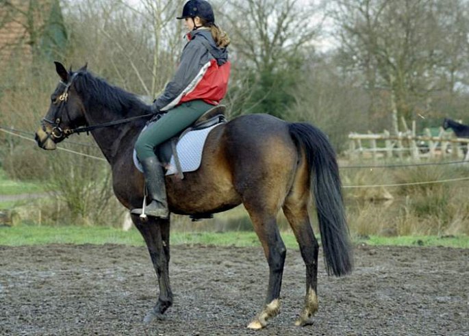 abendlicher Unterricht