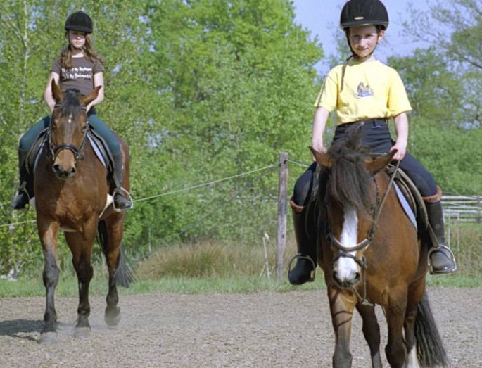 reiten