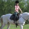 reiten