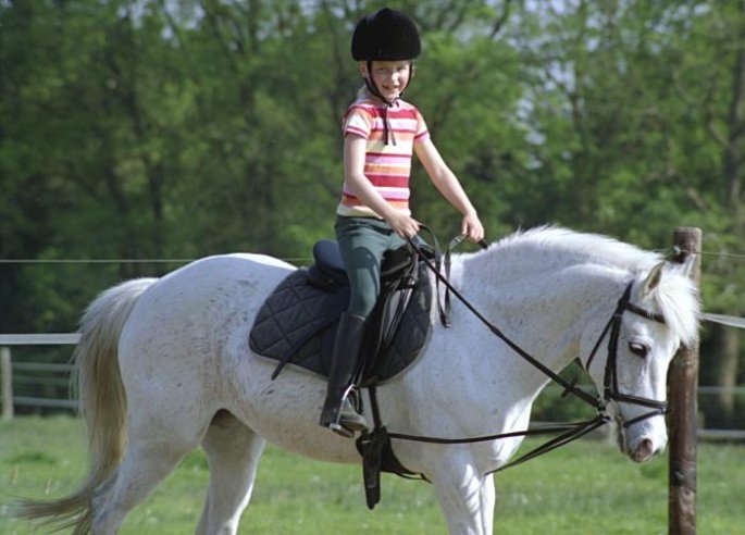 reiten
