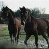 Hof-Impressionen