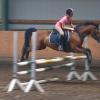 Springreiten - Studie