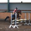 Springreiten - Studie