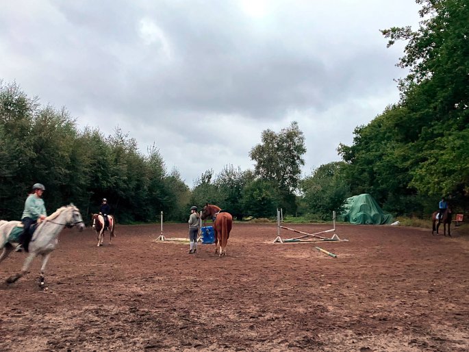 Vorbereitung zum Reitunterricht