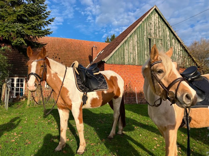 Sternfee und ihre Tochter Hailey