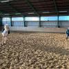 Training mit der 3,5 Jahre alten Hailey