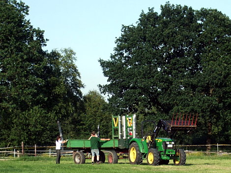 Umzug auf die Wiese