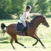 Springreiten