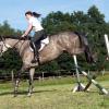 Springreiten