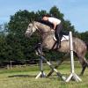 Springreiten