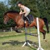 Springreiten