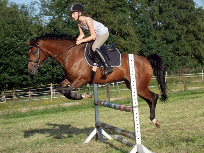 Springreiten