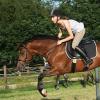 Springreiten