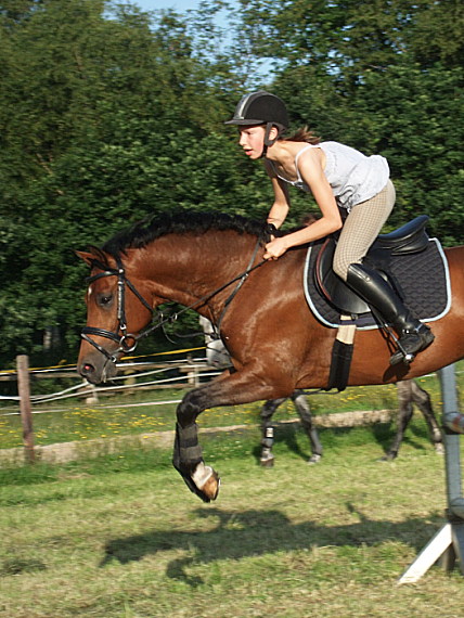 Springreiten