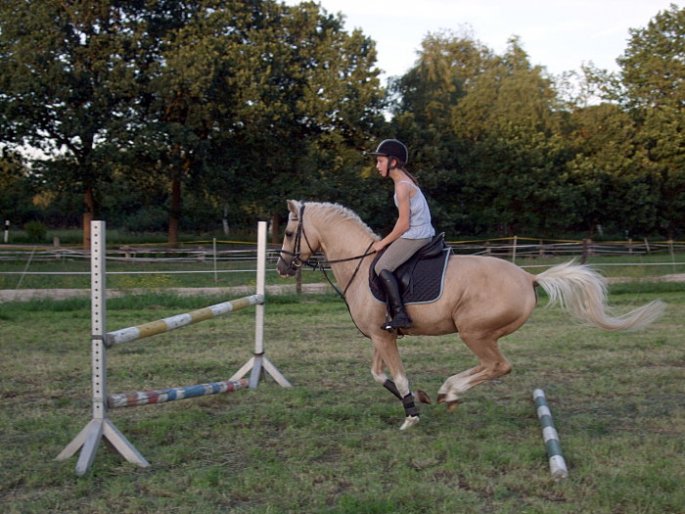 Springreiten