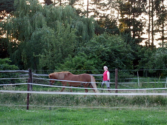 Longieren