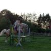Springreiten