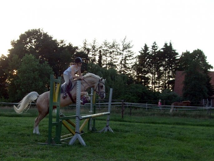 Springreiten