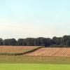 Wiese, Weide, Ackerland und Wald