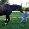 GroÃ?Å¸e Bewegung