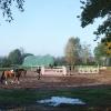 Longieren