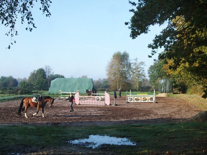 Longieren