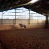 Training in der Reithalle