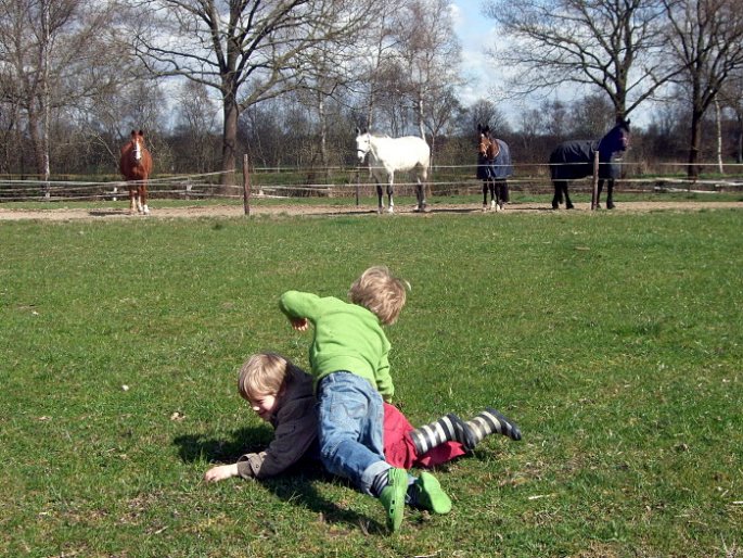 Freizeit auf der Wiese