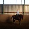 Reitstunde