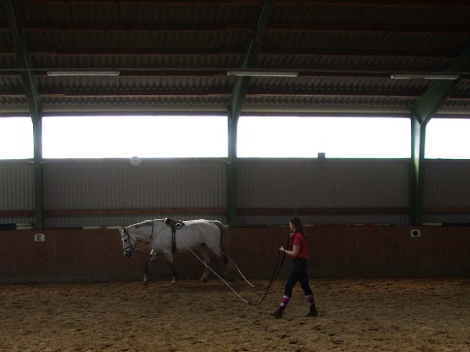 Üben, Training