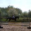 Training