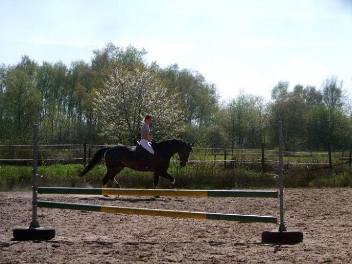 Training