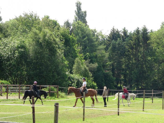 Reitunterricht