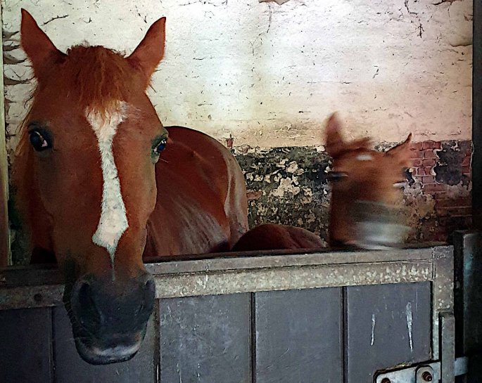 Mutter Cora mit Spirit Sun