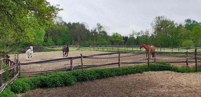 Freude übers rauskommen