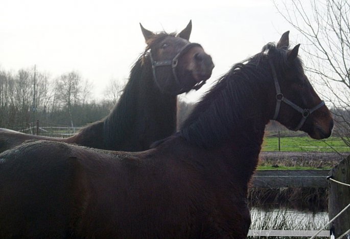 Hof-Impressionen