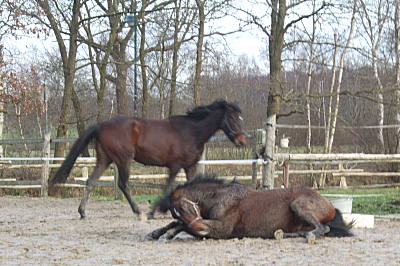 Hof-Impressionen