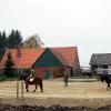 Reitunterricht auf neuem Stallunterbau