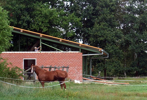 Pferdestall im Bau.