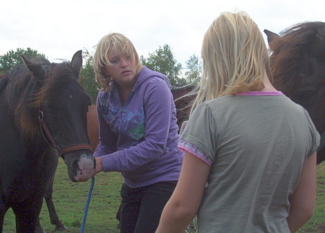 Pferde zum Reiten von der Weide holen 