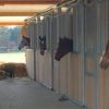 der neue Stall ist fertig und bezogen