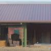 neuer Stall mit Pferdeboxen
