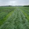 frisch gemÃ?Â¤ht