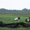 Siesta und Kesselboden-TrÃ?Â¤nke