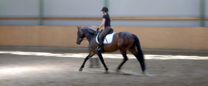 Reitunterricht