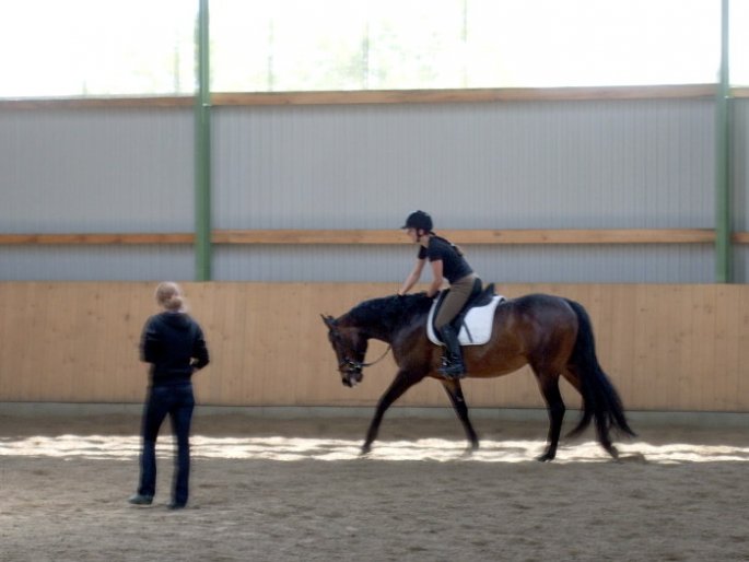 Reitunterricht