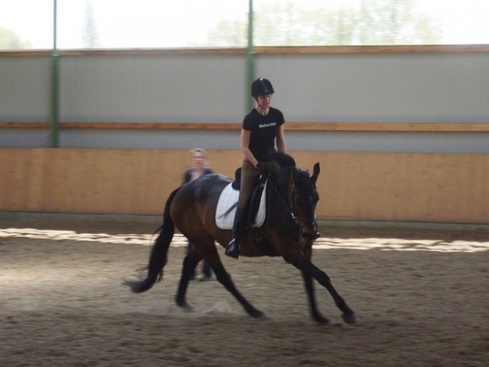 Reitunterricht
