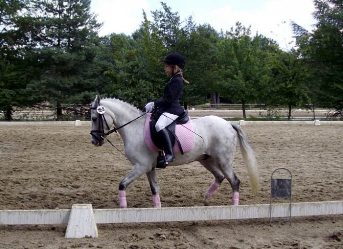 Luise auf Silver