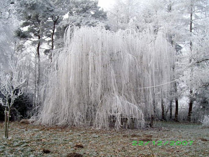 Winter-Impressionen